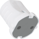 Orel Mimoza Dişi Fiş