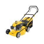 Rtrmax Benzinli Çim Biçme (Şanzımanlı)